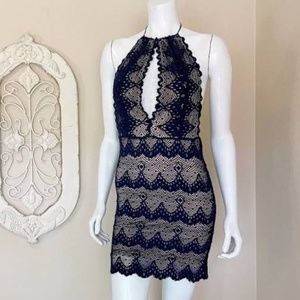 Nightcap lace body con dress navy with cutout